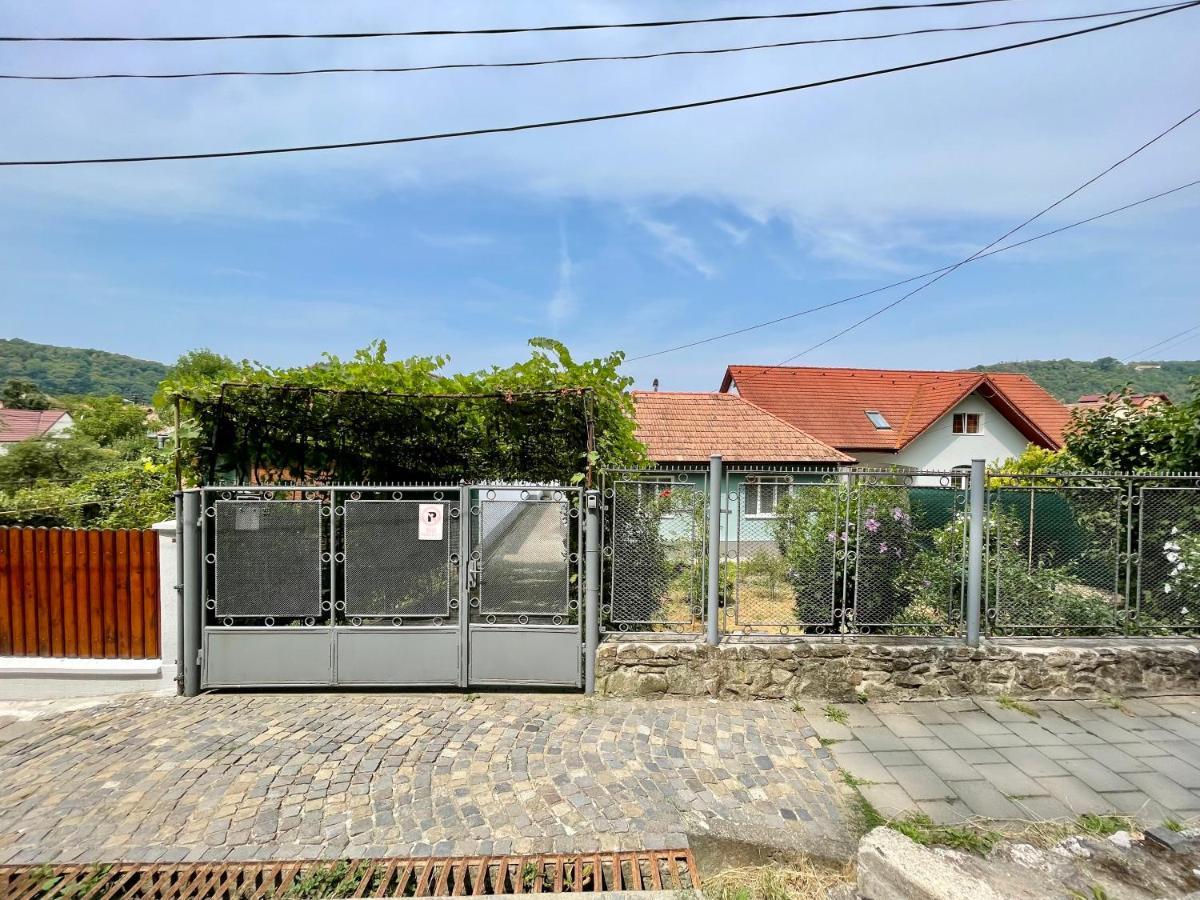 Anton Pann House - Entire House Below The Citadel 시기쇼아라 외부 사진