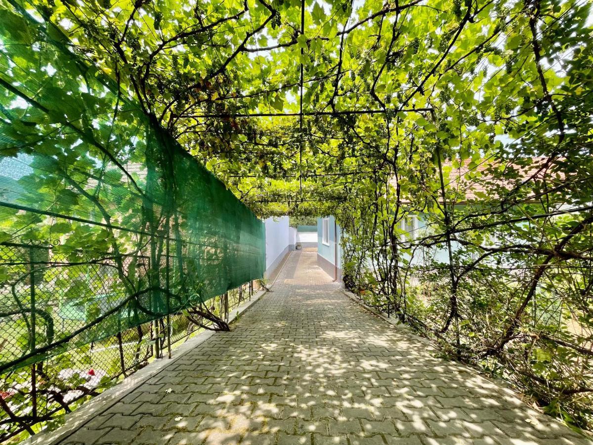 Anton Pann House - Entire House Below The Citadel 시기쇼아라 외부 사진
